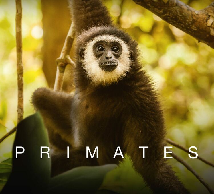 Праисторически гиганти, Примати и диви приключения по Viasat Nature