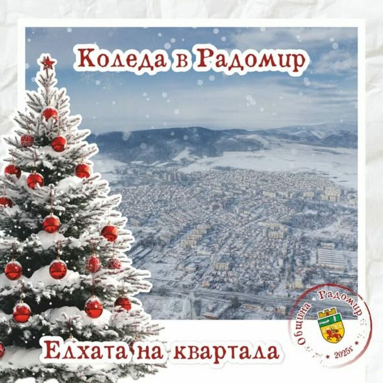  Елхата на квартала – нека я украсим ЗАЕДНО! 