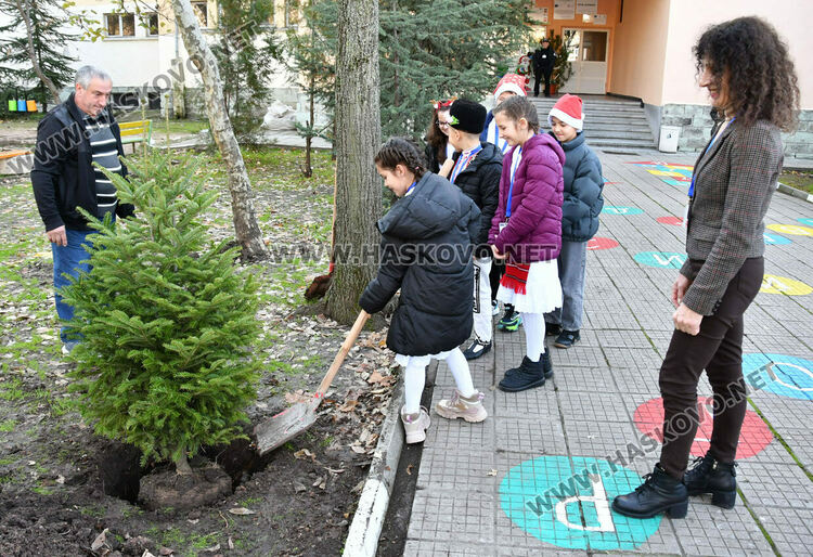 Тържествено запалиха светлините на елхата в ОУ „Христо Смирненски“ 