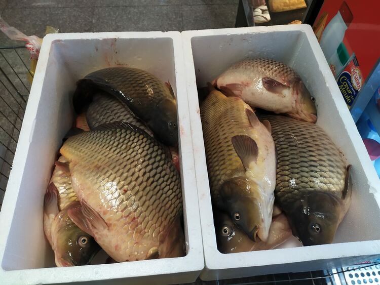 Пазарът в Кърджали залят с шаран за Никулден,цените без съществена промяна за година