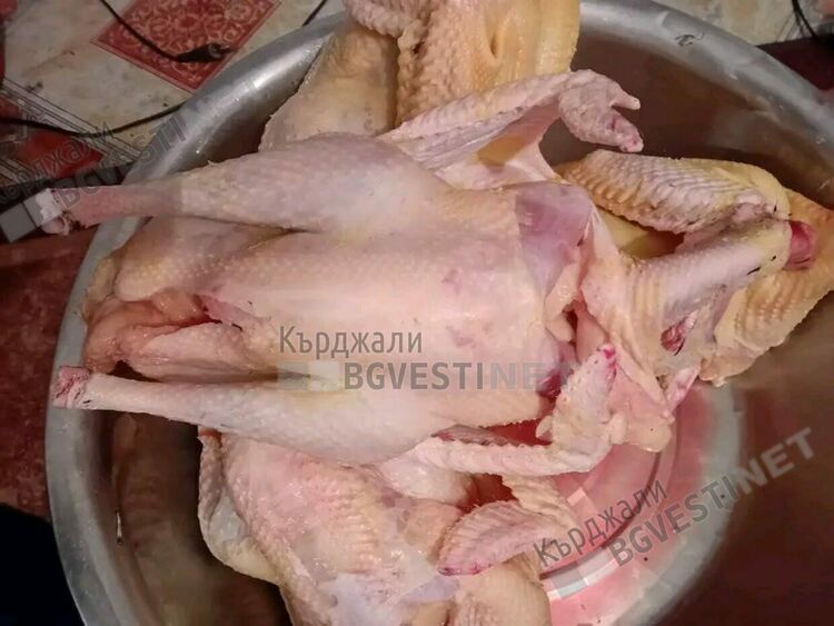 Коледни пуйки се предлагат за празничната трапеза на кърджалийци,търгуват се онлайн