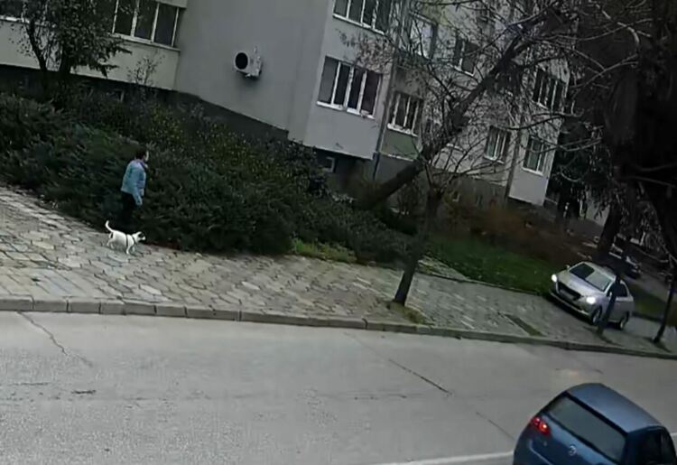 Глобяват водач, управлявал кола по тротоар в Хасково