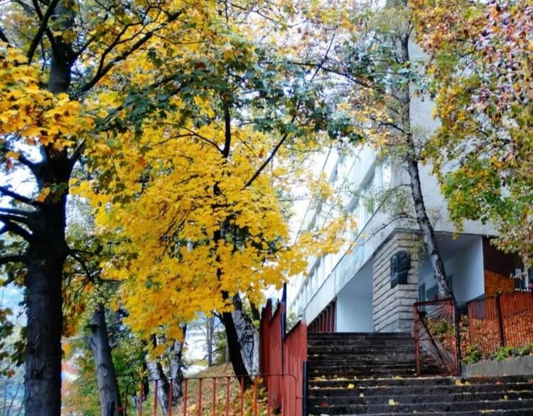 „Връчват дипломите на випуск 2025 във Филиала на ПУ „Паисий Хилендарски“ в Смолян