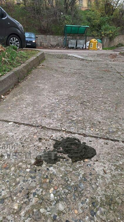 Жителите на „Възрожденци“:Назначете кравите на Айдън в ОБЧ,хем косят,хем торят!