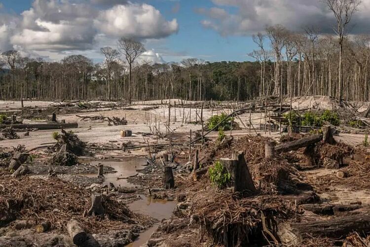  „За разлика от динозаврите, ние знаем какво идва“: Oстро предупреждение за климатичен срив