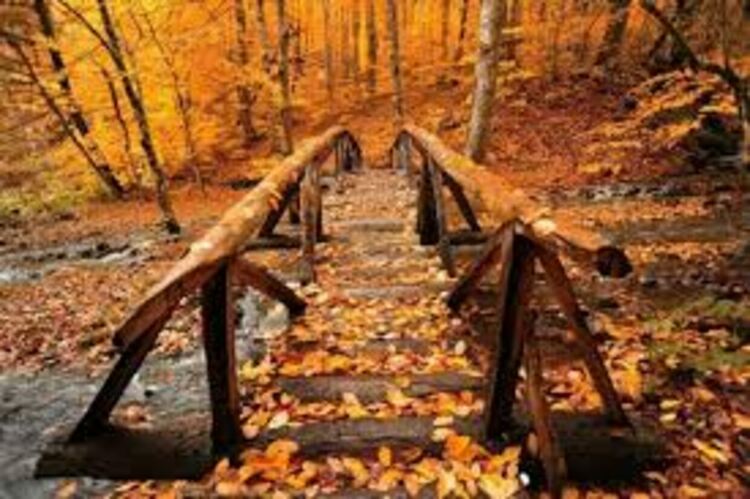 Мъгливо сутринта, облачно през целия ден