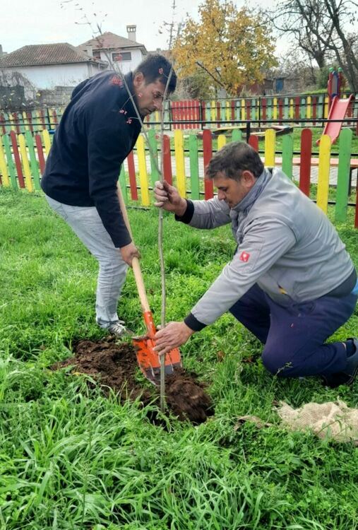 Повече от 500 бр. фиданки раздаде безвъзмездно община Асеновград