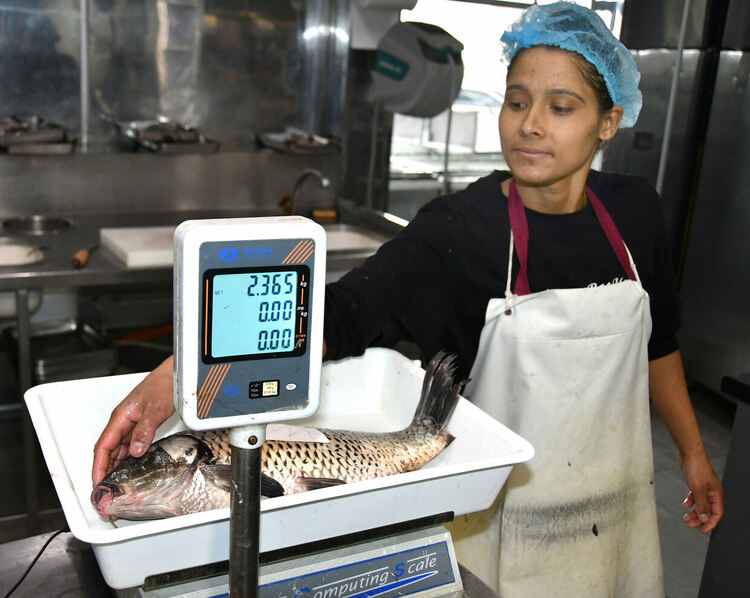 Шаранът в Хасково е около лев по-скъп от миналата година ден преди Никулден
