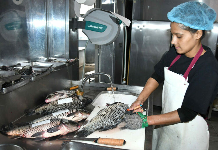 Шаранът в Хасково е около лев по-скъп от миналата година ден преди Никулден