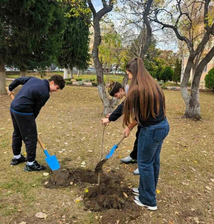 Повече от 500 бр. фиданки раздаде безвъзмездно община Асеновград