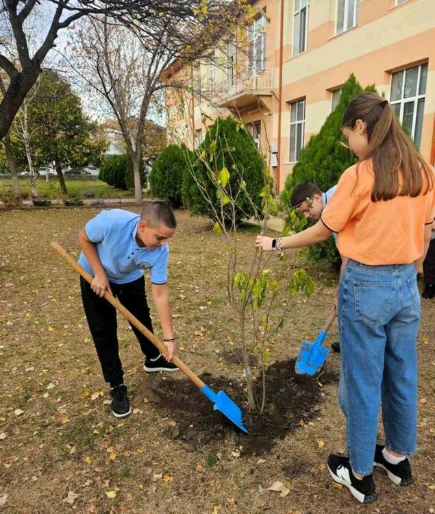 Повече от 500 бр. фиданки раздаде безвъзмездно община Асеновград