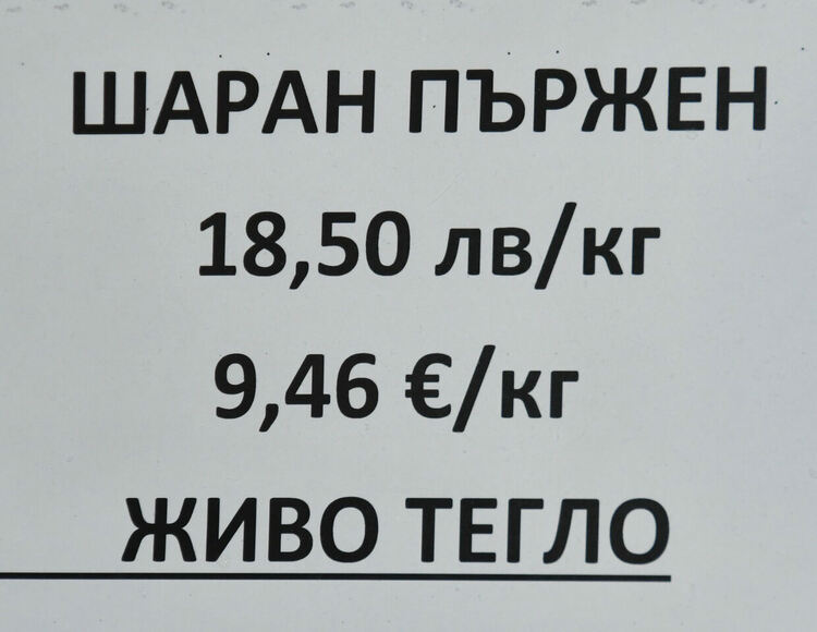Шаранът в Хасково е около лев по-скъп от миналата година ден преди Никулден