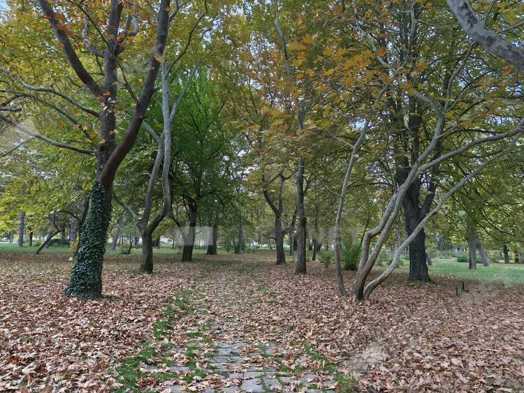 Променлива облачност над Кърджали днес,тихо време