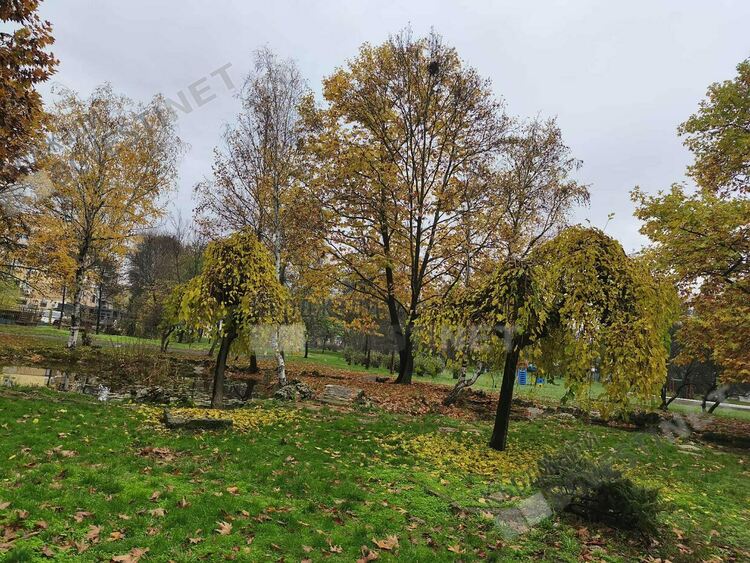 Слънчево и тихо време днес в Кърджали