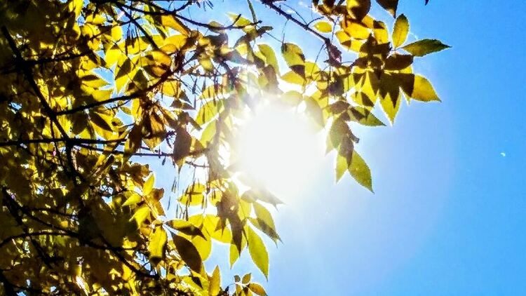 Слънчево и почти тихо време в петък