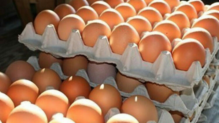 Иззеха 540 кг месо, 1500 яйца и 332 кг препарати за растителна защита от камион и две коли