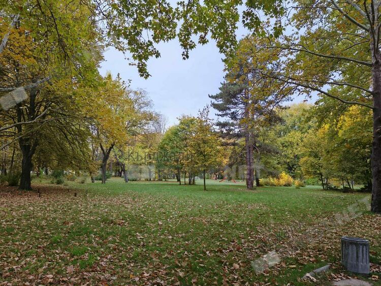 Променлива облачност и безветрие в Кърджали