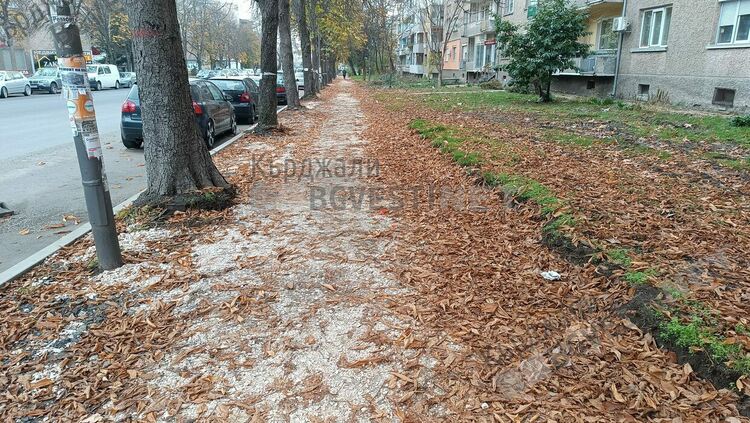 15 000 кв м тротоари обновява по &bdquo;Беломорски&ldquo; Община Кърджали