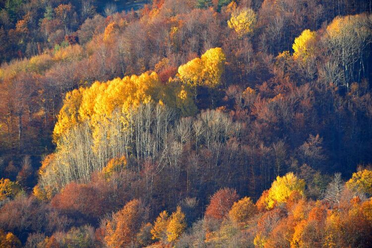 Д-р Драгомир Мирчев представя юбилейна творческа вечер &bdquo;Светът на твореца - съзвучие от слово, картини и музика&ldquo;  