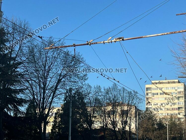 Поддържащ кабел на тролейбусната мрежа се скъса на бул. &bdquo;Раковски&ldquo; 