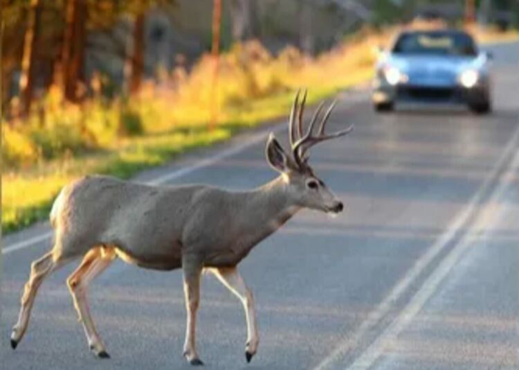 Снимката е илюстративна (Utroruse.com)