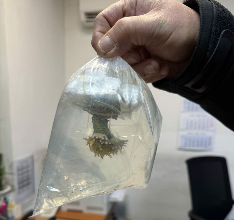 Снимки: Агенция &bdquo;Митници&ldquo;