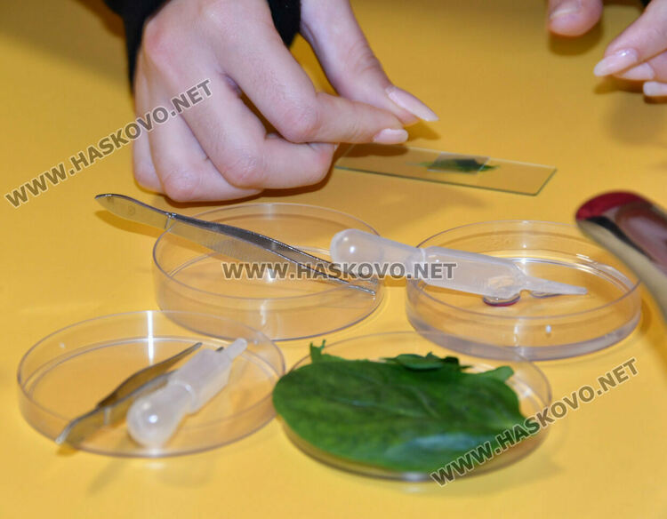 Откриха високотехнологичен STEM център в СУ &bdquo;Васил Левски&ldquo; Хасково 