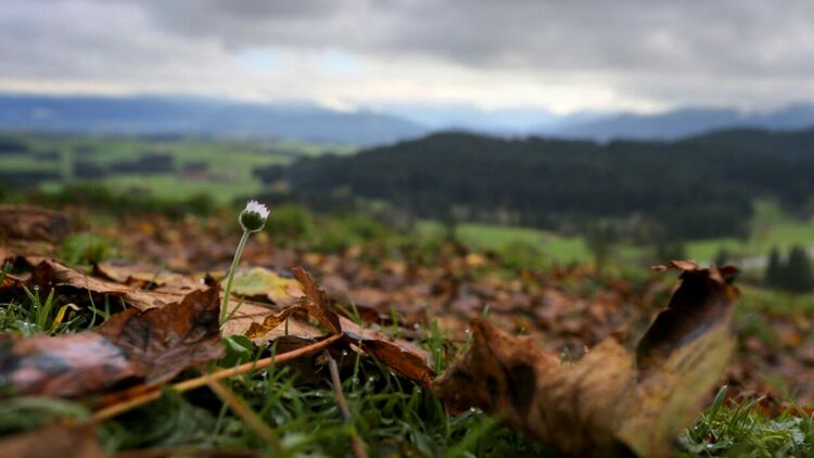 Облачна събота с максимални температури до 7 градуса