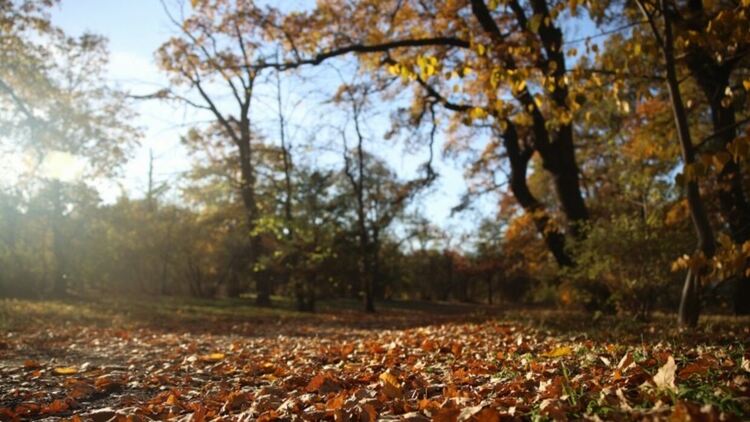 Източник: EPA/БГНЕС