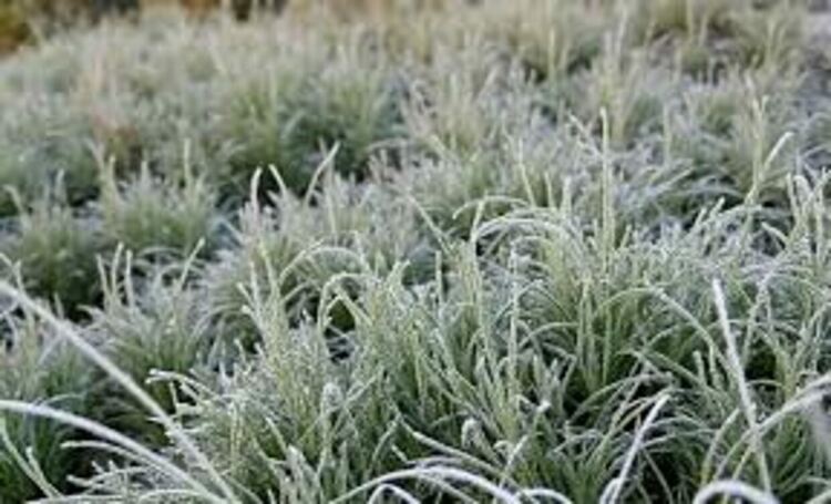 Посрещаме астрономическата зима с облаци 