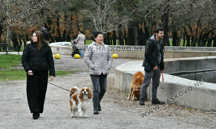 Оживление по паркове и кафенета в първия ден след Коледа