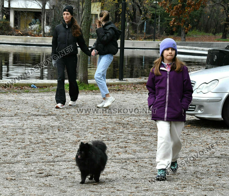 Оживление по паркове и кафенета в първия ден след Коледа