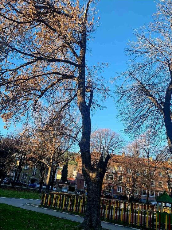 Силният вятър бутна изолация на жилищен блок на ул."Цар Иван Асен II"