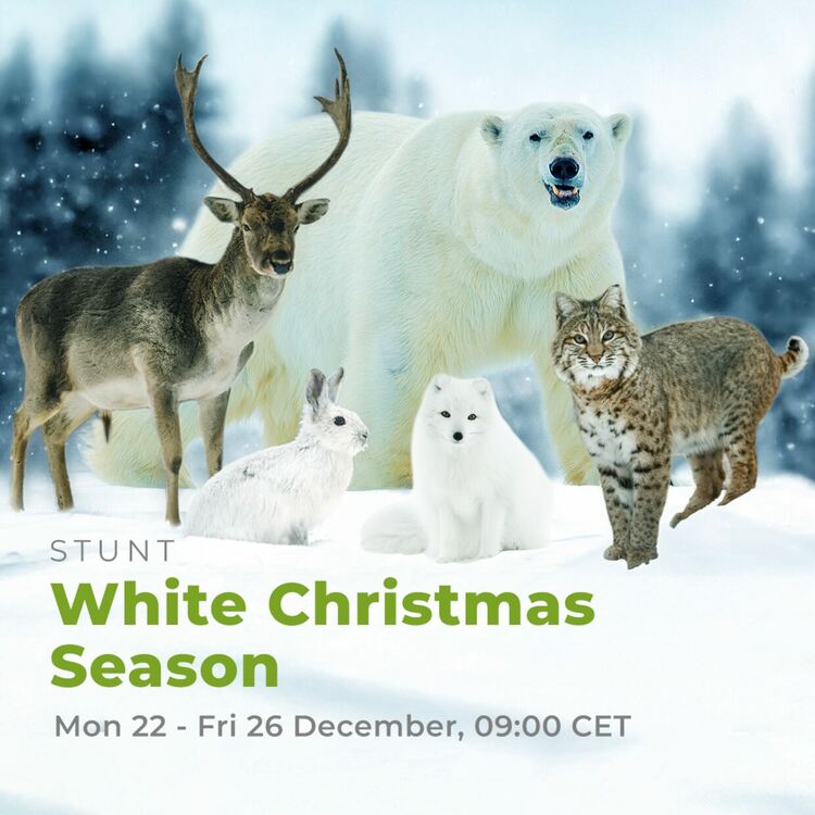 Сезон на бялата Коледа и дивите приключения по Viasat Nature