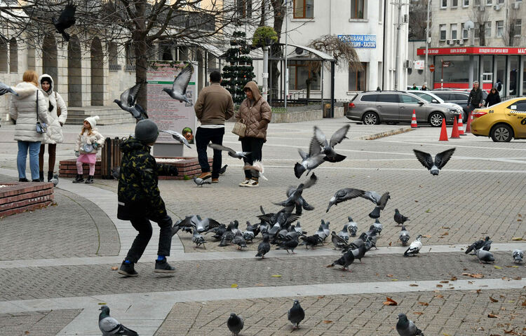 Слънчево, студено  и ветровито над цялата Хасковска област