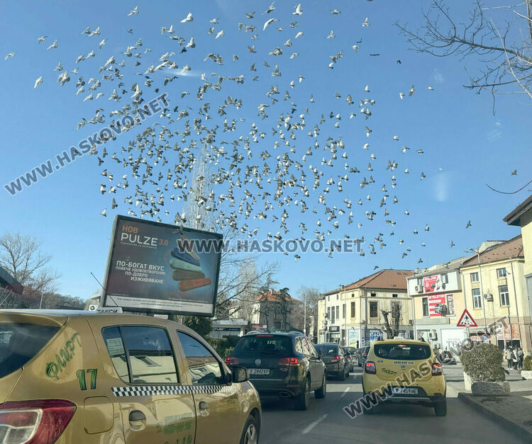 Огромен трафик скова Хасково