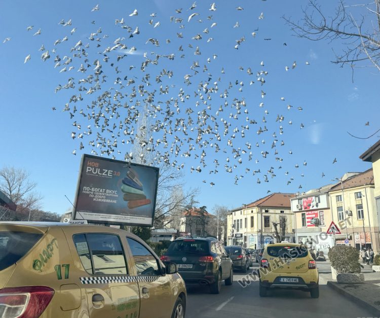 Слънчево преди обяд, след това облаци без дъжд
