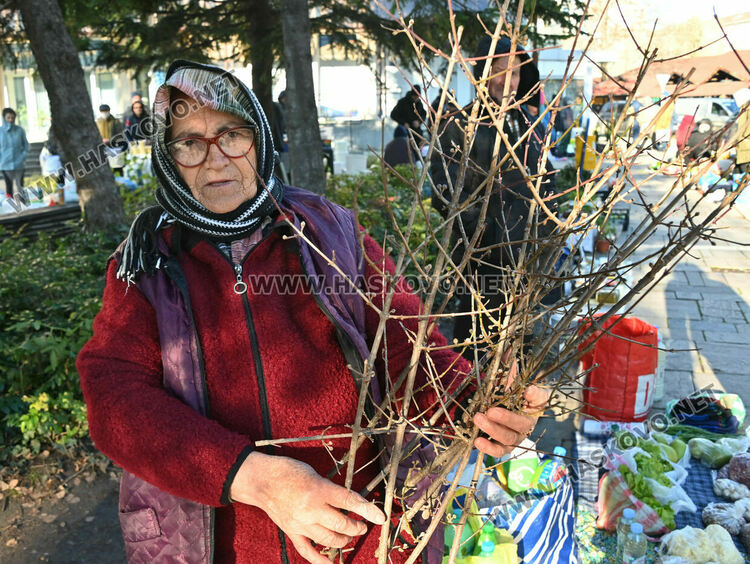 Сурвачките вървят по 10 лева в Хасково, дрянът е по левче