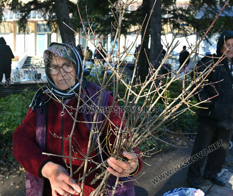 Сурвачките вървят по 10 лева в Хасково, дрянът е по левче