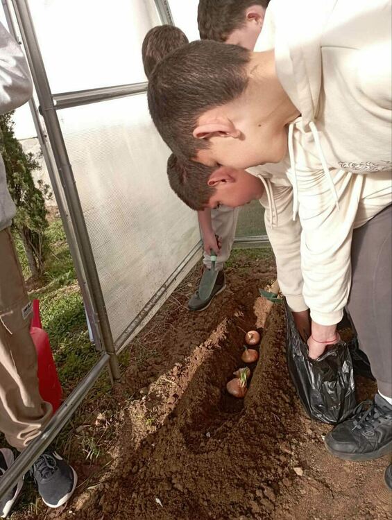 Ученици от Чепеларе и Неделино ще учат биоземеделие в нови учебни ферми