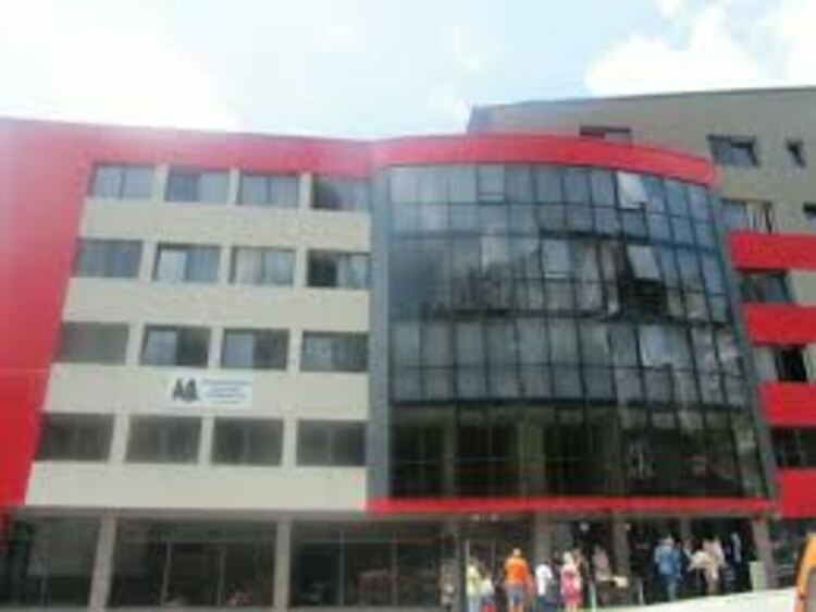 Горският сектор под натиск: спад в продажбите и засилен внос отчетоха  от ЮЦДП