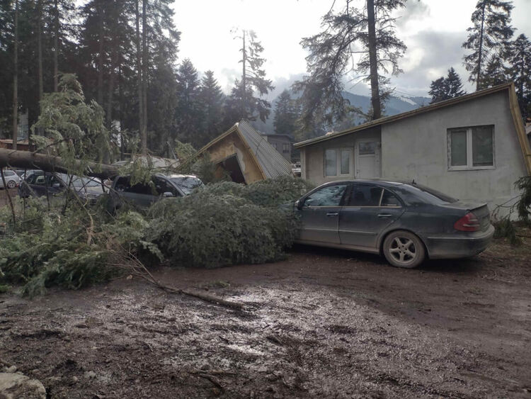 Ураганен вятър удари София, Боровец и Рила &ndash; пориви над 100 км/ч, блокирани пътища и полети