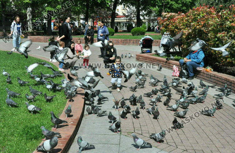 Ветровито и топло време в неделя