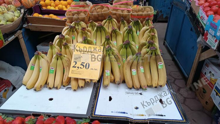 Търговията на Пазара на производителите в Кърджали забуксува,пазарува се само в левове и то вяло/снимки/