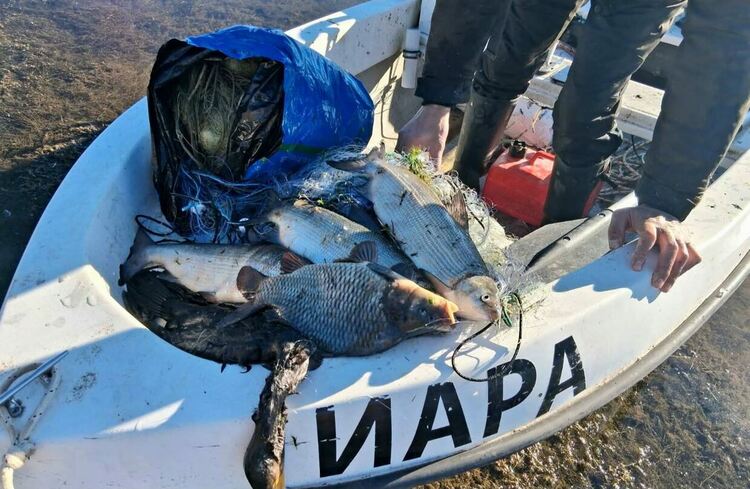 Инспектори на ИАРА иззеха незаконни риболовни мрежи от язовир &bdquo;Доспат&ldquo;