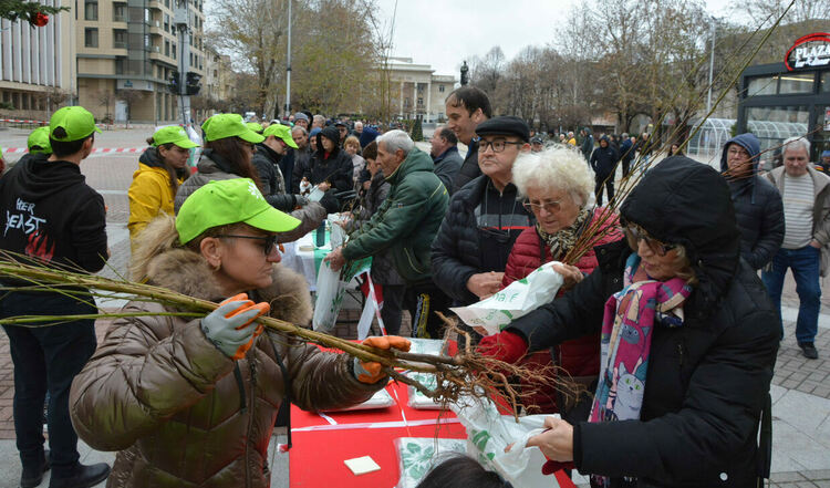 &bdquo;Гората.бг&ldquo; подарява 20 000 фиданки в Хасково в събота