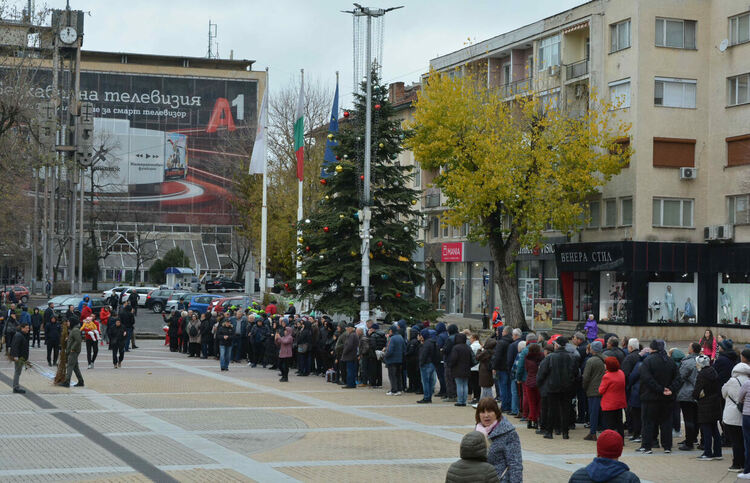&bdquo;Гората.бг&ldquo; подарява 20 000 фиданки в Хасково в събота
