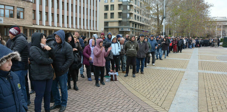 &bdquo;Гората.бг&ldquo; подарява 20 000 фиданки в Хасково в събота