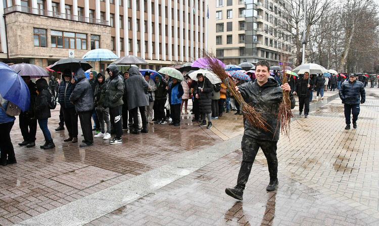 Хасковлии се наредиха на опашка в дъжда за безплатни дръвчета