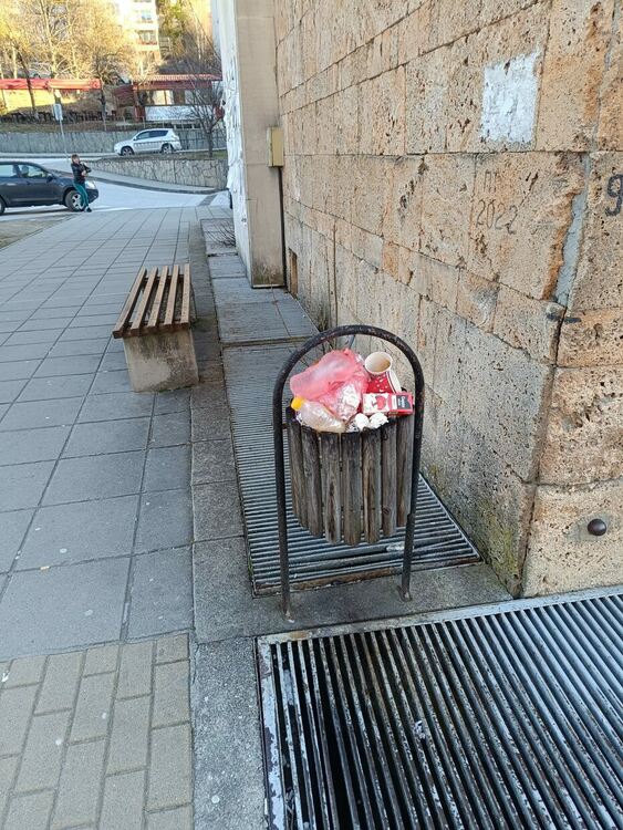 "Чистачките с метлите" спряха работа за два дни и Смолян потъна в боклуци